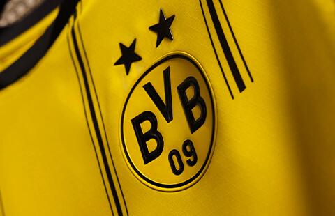 СОДЕРЖИМОЕ ПЕРЕРАБОТАННОГО МАТЕРИАЛА